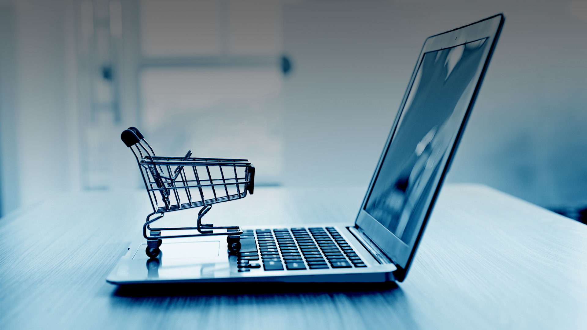 Guide to Ecommerce Website Development